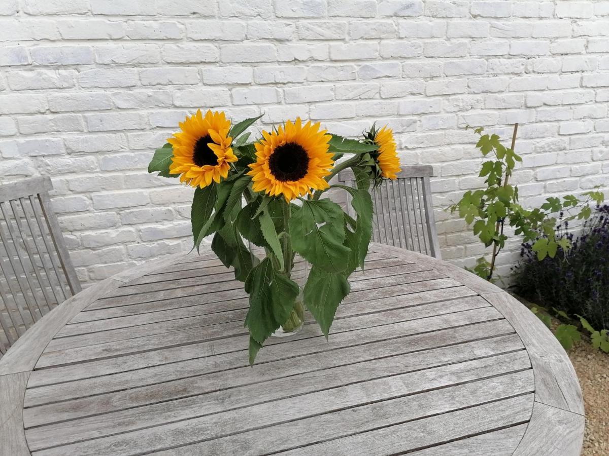 Chez Paulette Villa Avelgem Eksteriør bilde